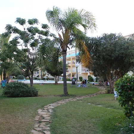 Service Dénia